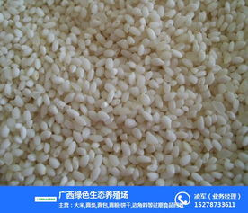 云浮月饼回收厂探索绿色新出路 过期坚果月饼变身生态养殖饲料