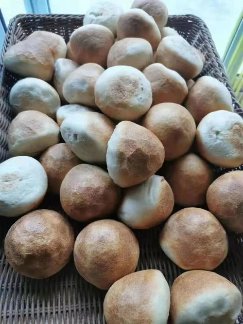 特稿丨变废为宝 把坚果科技成果搬上百姓餐桌
